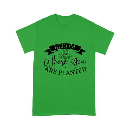 https://drmjya4epqbke.cloudfront.net/files/production/u/41033ad9-88da-41df-8c22-902b6860556c/5c6bf137-7a3e-4ed5-9d50-0781acf7ea0c.jpg
